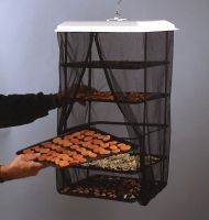 Solar food dehydrator