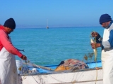 fishermen-in-caleta-partida